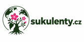 sukulenty