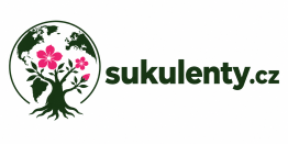 sukulenty